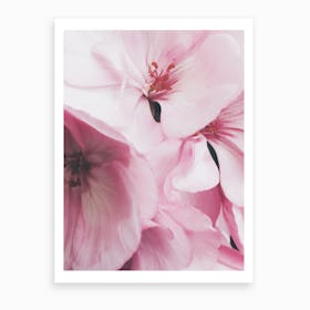 Pink Flowers Photo Art Print