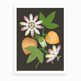 Passiflora Poster I Art Print