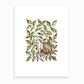 Meadow Mouse Art Print