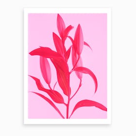 Neon Pink Lilly Art Print
