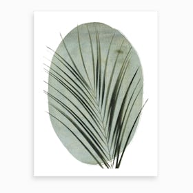 Palm Art Print