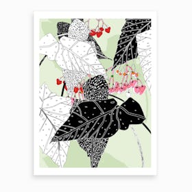 Begonia Graphics Art Print