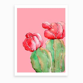 Pastel Cactus Iii Art Print