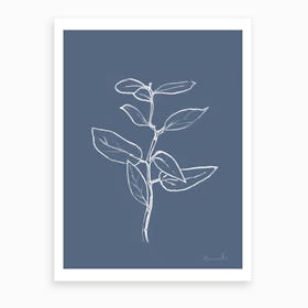 Eucalyptus Sapling Art Print
