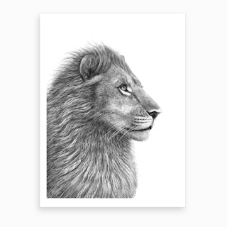 The Lion Art Print
