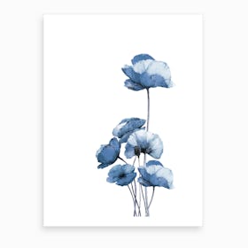 Blue Poppies Art Print