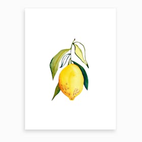 Lemon 1 Art Print