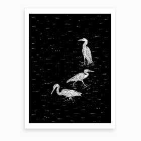 Three Herons In Black Art Print