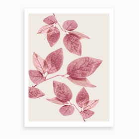 Pink Leaves Art Print