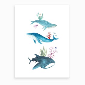 Ocean Creatures Art Print