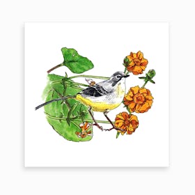 Flower Wagtail Art Print