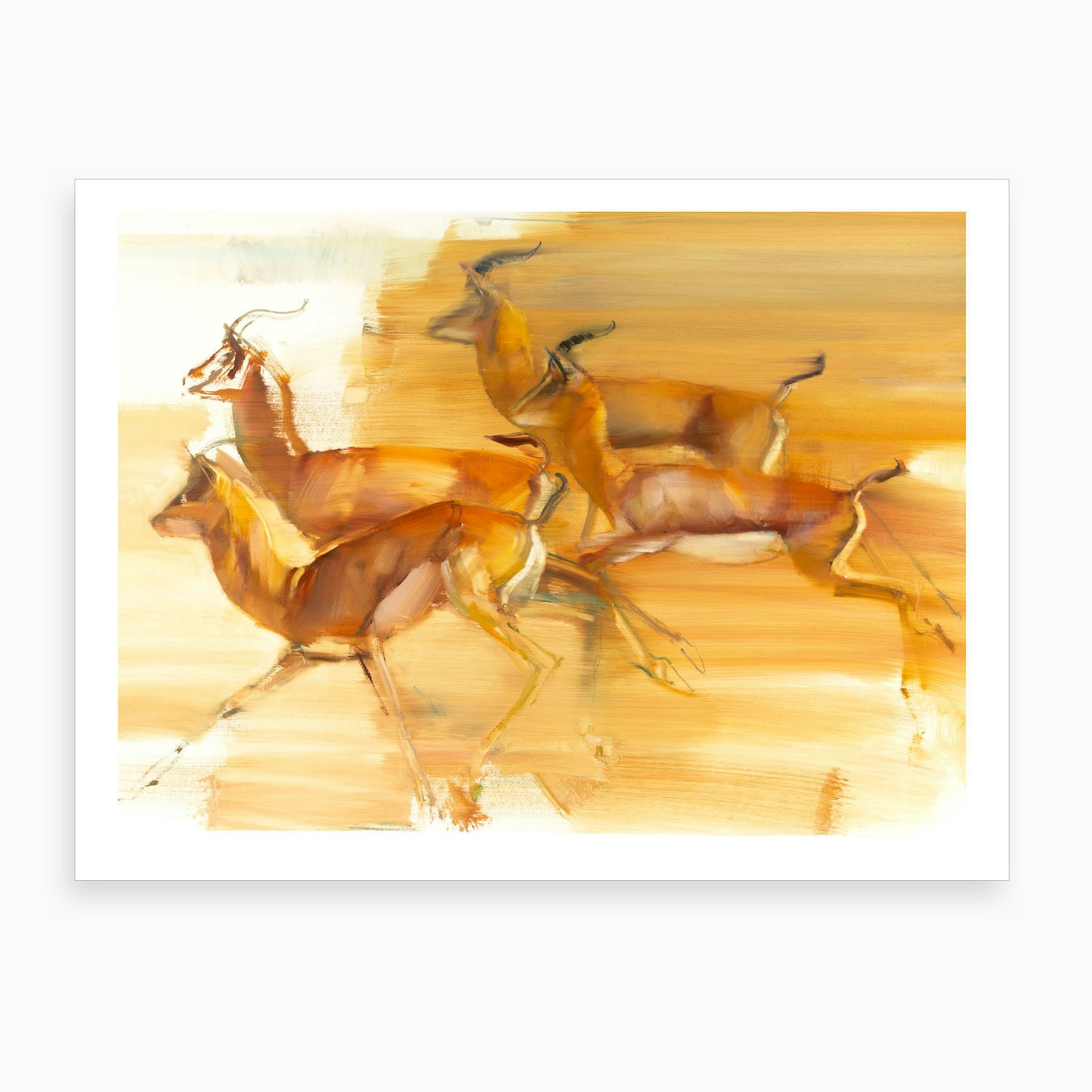 Running Gazelles By Mark Adlington Fy