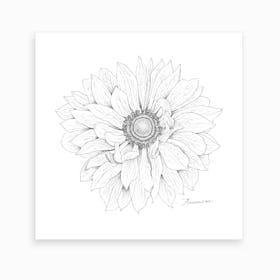 Anemone 2 Art Print