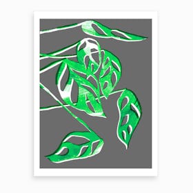 Monstera Obliqua In Grey And Green Art Print