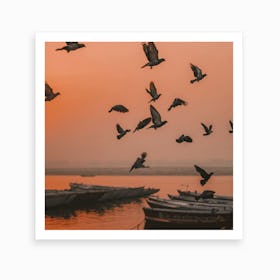 Varanasi Birds At Sunrise 2 Art Print