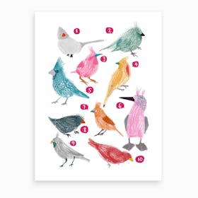 Counting Birds Art Print
