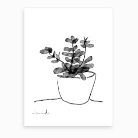 Window Plant Art Print