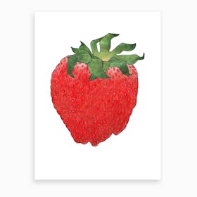 Strawberry 4 Art Print