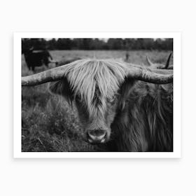 Highland Cow Black And White Art Print