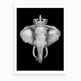 The King Elephant On Black Art Print