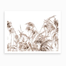 Autumn Reeds I Art Print