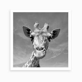 Giraffe Face Art Print