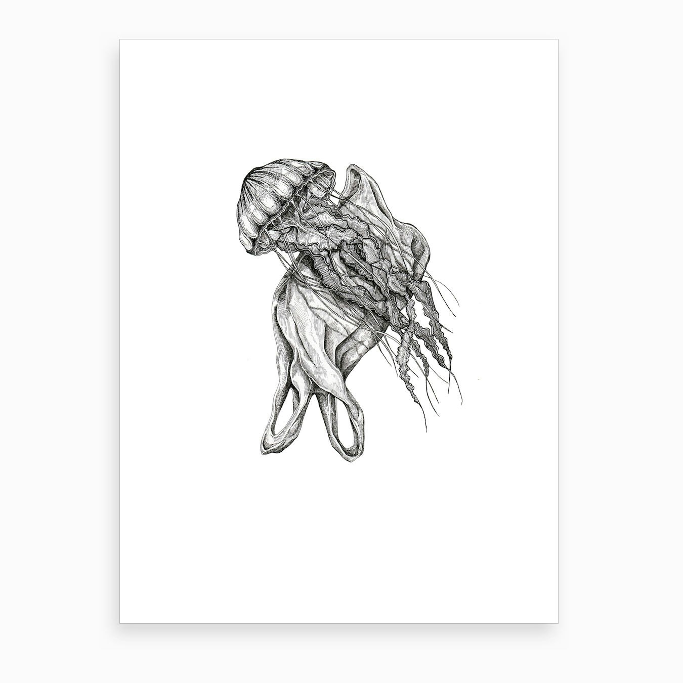 Jellyfish Art Print By Rosemary Grace Art Fy
