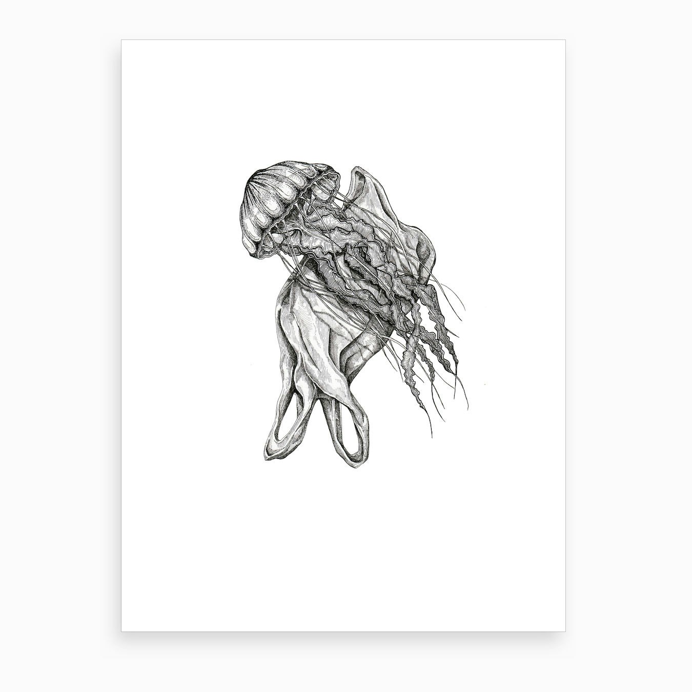 Jellyfish Art Print By Rosemary Grace Art Fy Jellyfish Art Print By Rosemary Grace Art Fy