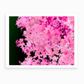 Pink Leaves Botanical Abstract Art Print