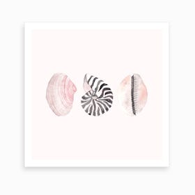 Seashells2 Art Print