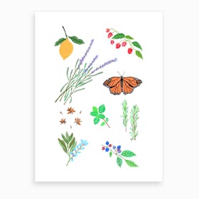 Herbal Gardern Art Print