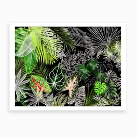 Tropical Foliage 4 Art Print