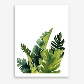 Bananenblatter Art Print