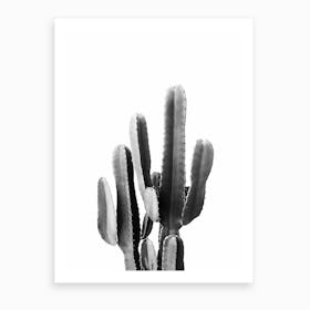 Black Cactus Art Print