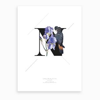 Botanical Alphabet N Art Print