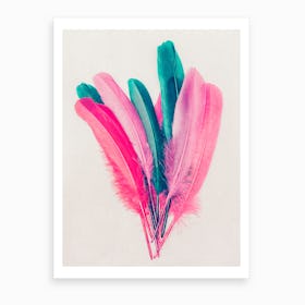 Feather Bouquet Art Print