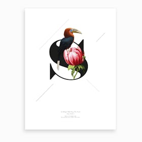 Botanical  Alphabet S Art Print