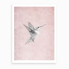 Vintage Hummingbird Art Print