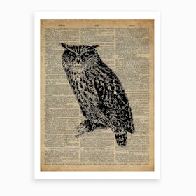 Owl Bird Art Print