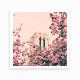 Notre Dame Cherry Blossoms Art Print