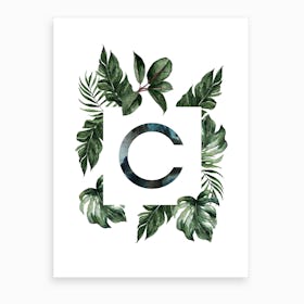 Botanical Alphabet C Art Print