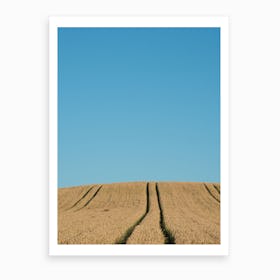Field Of Barley Art Print