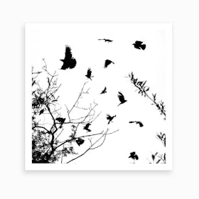 Black And White Crows Art Print