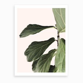 Indoor Plant Art Print