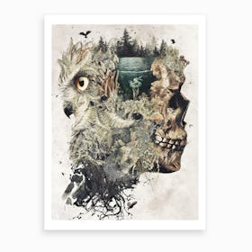 Forest Lake Dreamer Art Print