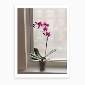 Orchid Art Print