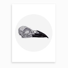 Crow Skull Art Print