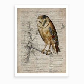 Owl Dictionnaire Universel Dhistoire Naturelle  Art Print