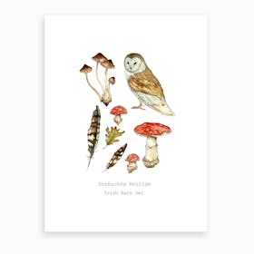 Irish Barn Owl Art Print
