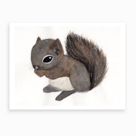 Baby Squirrel Art Print
